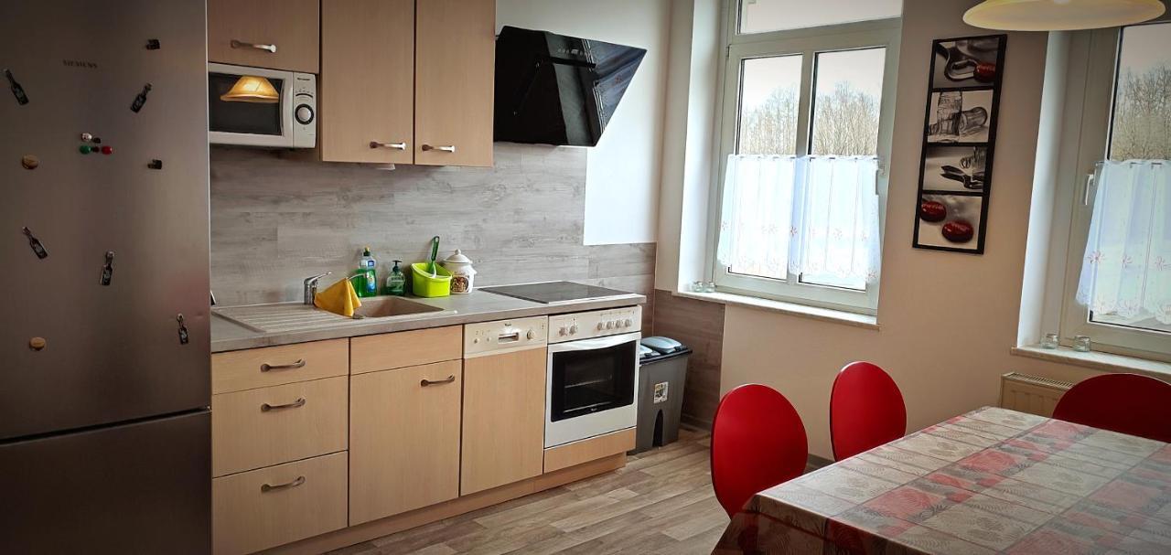 Ferienwohnung Am Birkenwaeldchen Плауен Екстериор снимка