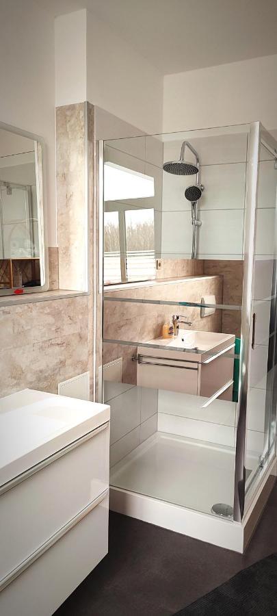 Ferienwohnung Am Birkenwaeldchen Плауен Екстериор снимка